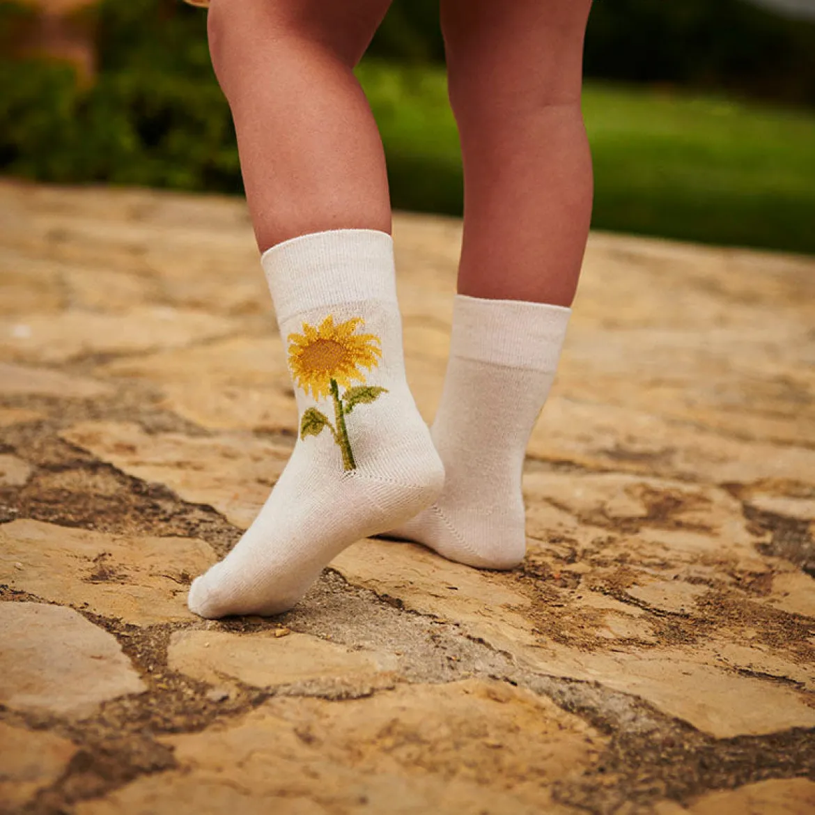 Almine socks